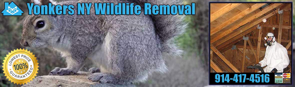 Yonkers Wildlife and Animal Removal